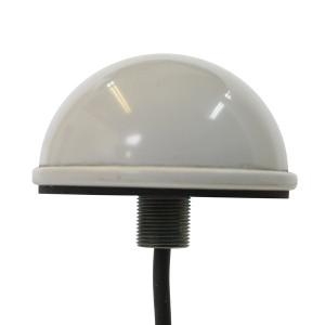 Low Profile Dome Antenna, 2 dBi antenna with 1 foot LL-195 pigtail, SMA-male, (5